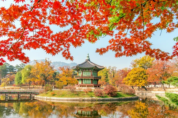 Gyeongbokgung Palace and Soft focus of Maple tree in autumn,Kore