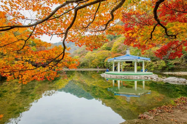 NAEJANGSAN,KOREA - NOVEMBER 1: Tourists taking photos of the beautiful scenery around Naejangsan park,South Korea.