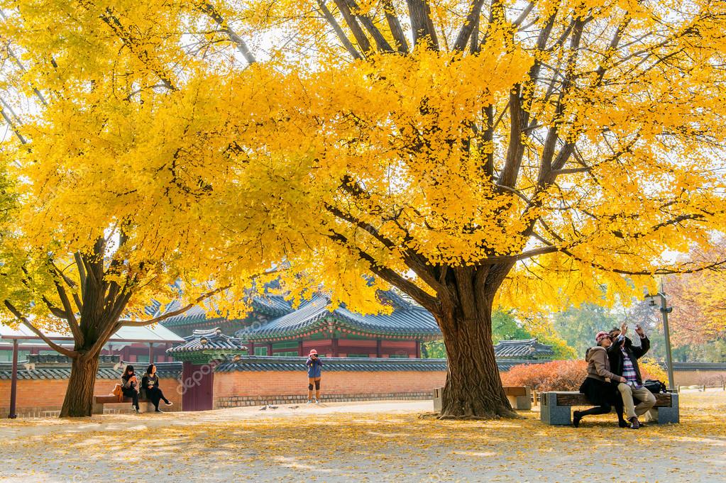 GYEONGBOKGUNG,KOREA NOVEMBER 4 Tourists taking photos of the