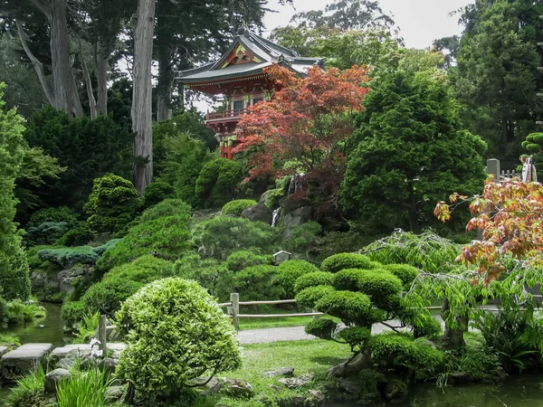 Japanese Tea Garden in San Francisco