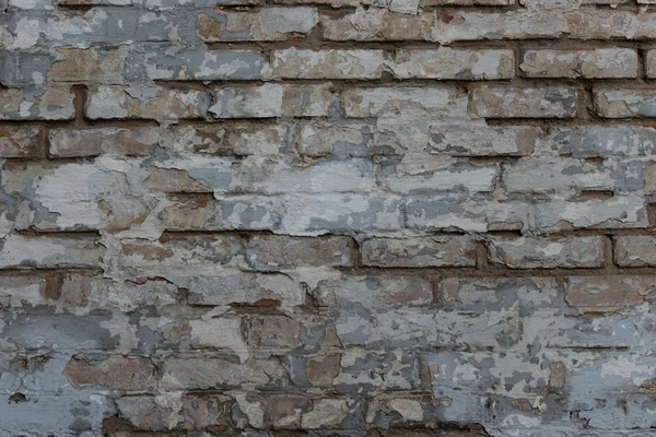 Texture. Brick wall