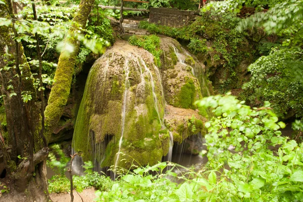 Bigar - the most beautiful waterfall in the world. Carpathians