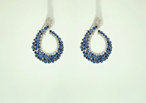 Earrings on white background