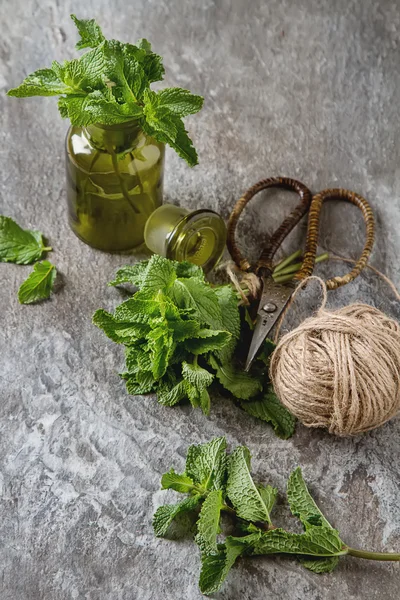 Sprig of mint in the garden green jar on a gray stone background
