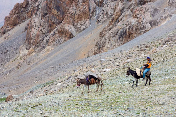 Donkey caravan in remote Asian mountain area