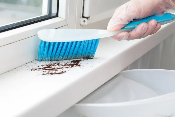 Spring Cleaning Concept human Hand cleaning Window sill