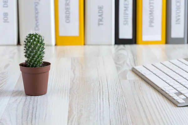 Office composition with cactus