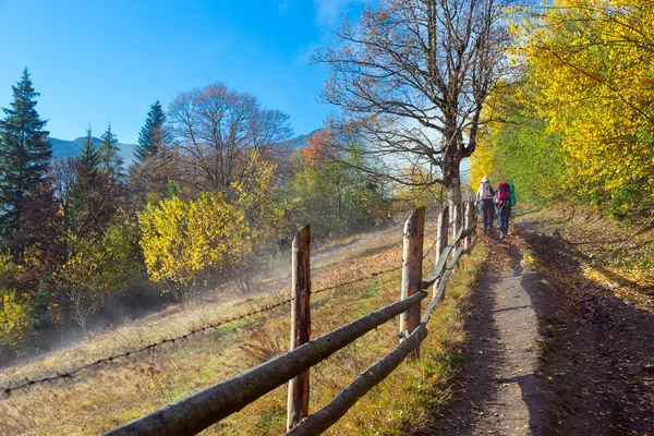 Two Hikers Walking on Rural Trail among Autumnal Forest