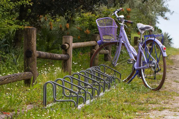 Violet bike with basket and  bicycle raks near  wooden fence