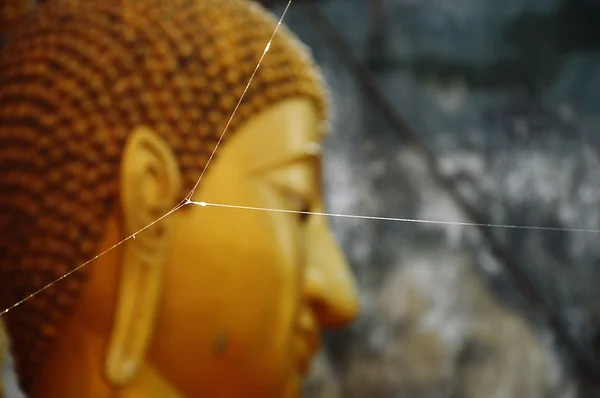 Spider net in front of Buddha