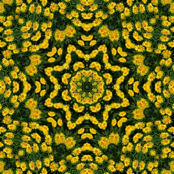 Yellow flowers kaleidoscope