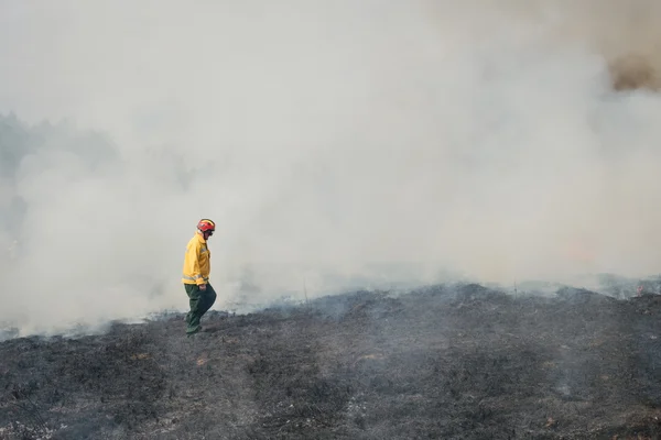 Fire fighter crossing charred terrain