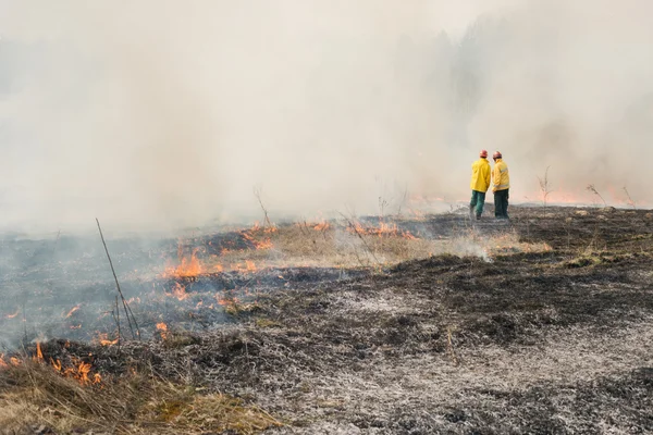 Fire fighters on charred or burned terrain