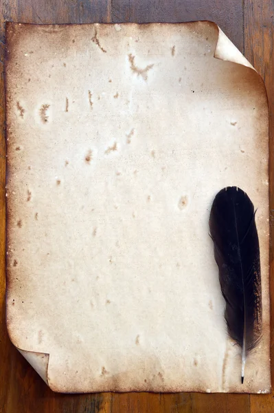 Old paper and  feather
