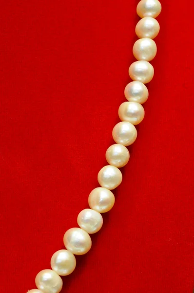 Pearl necklace on luxury red background