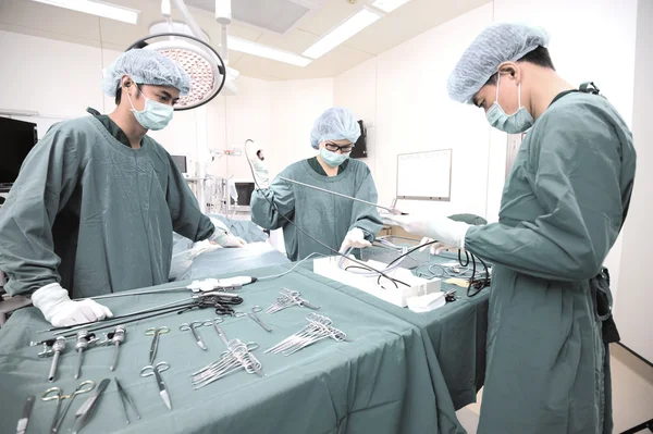 Veterinarian surgeons in operation room