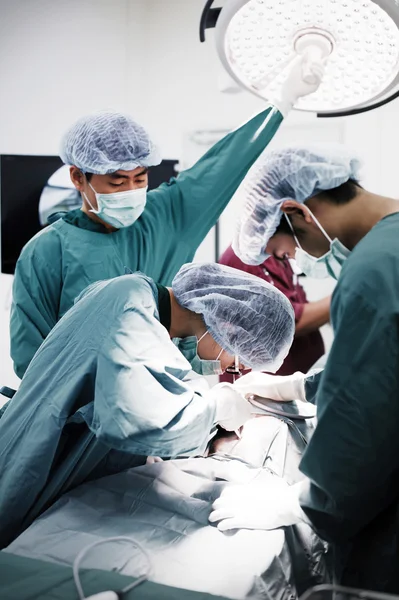 Veterinarian surgeons in operation room