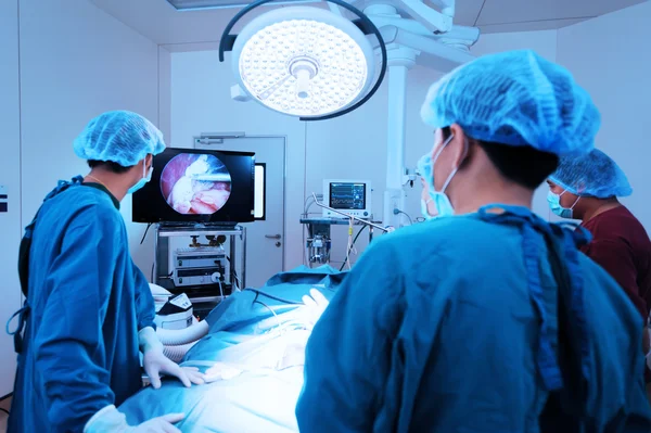 Group of veterinarian doctor in operation room for laparoscopic surgical