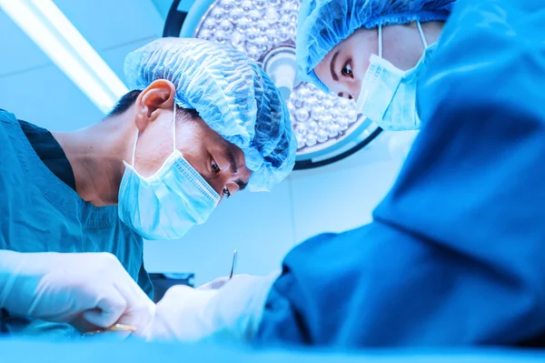 Two veterinarian surgeons in operating room