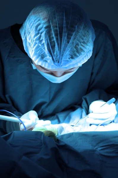 Veterinarian doctor in operation room for surgical