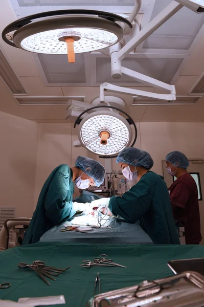 Group of veterinarian surgery in operation room