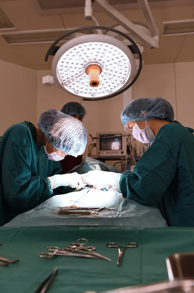 Group of veterinarian surgery in operation room