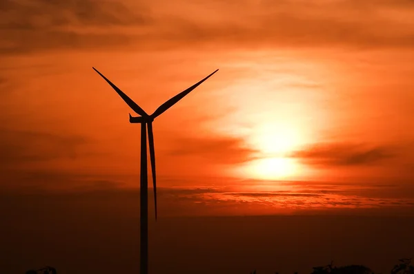 Wind turbines silhouette at sunset