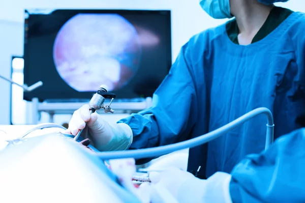 Veterinarian doctor in operation room for laparoscopic surgical