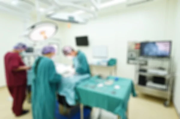 Group of veterinarian surgery in operation room