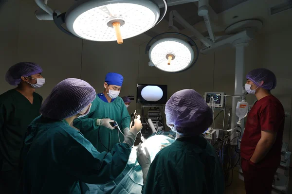 Group of veterinarian doctor in operation room for laparoscopic surgical