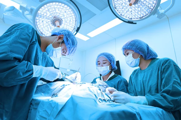 Group of veterinarian surgery in operation room