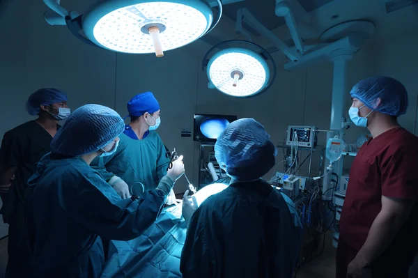 Group of veterinarian doctor in operation room for laparoscopic surgical