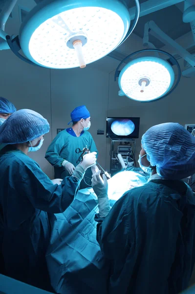 Group of veterinarian doctor in operation room for laparoscopic surgical