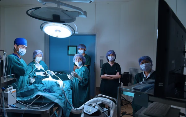 Group of veterinarian doctor in operation room for laparoscopic surgical