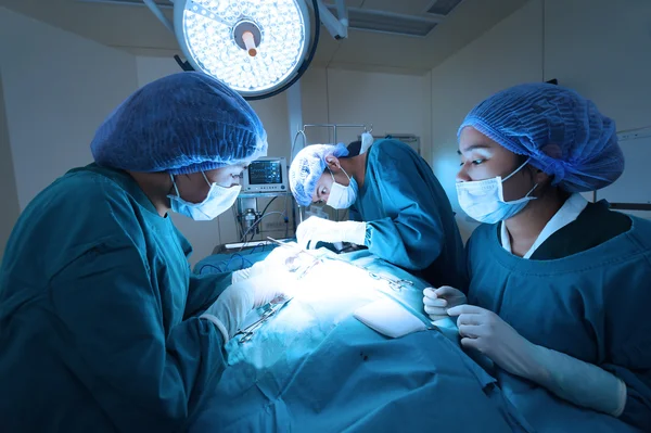 Group of veterinarian surgery in operation room