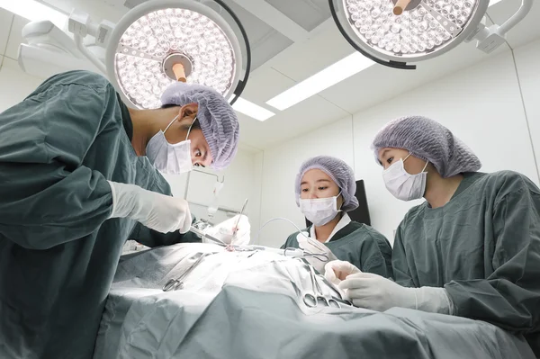 Group of veterinarian surgery in operation room