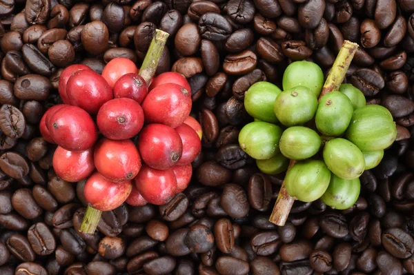 Fresh coffee beans on coffee beans