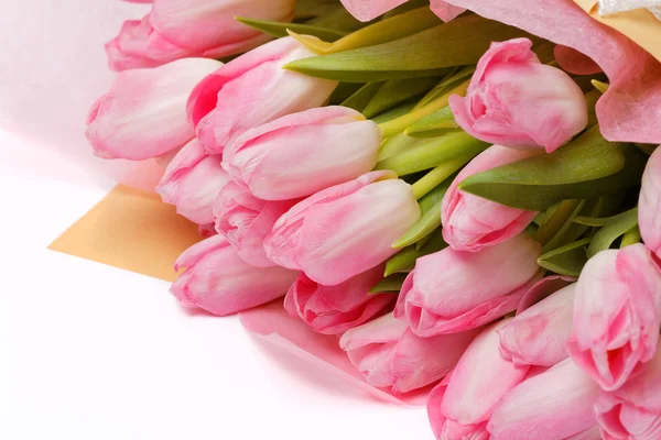 Beautiful pink flowers on the white background. Tulips