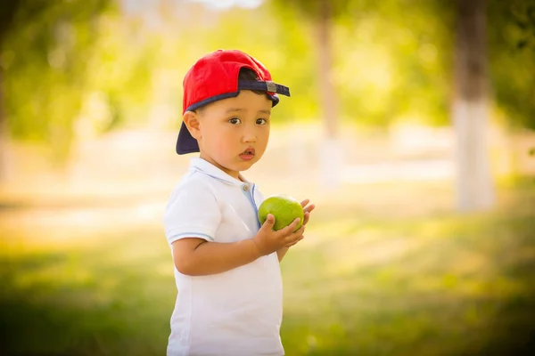 Boy in red cap with green apple in hands in summer park