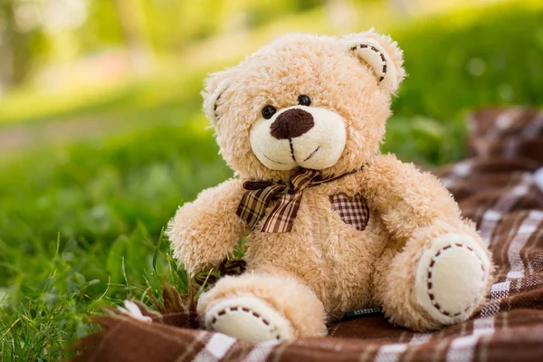 Bear soft toy