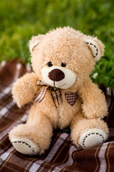 Bear soft toy