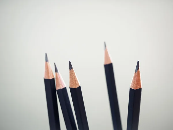 Black Pencils on white background Education concept