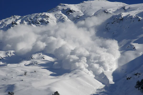 Dry snow avalanche with a powder cloud close to the village Terskol, Elbrus region.