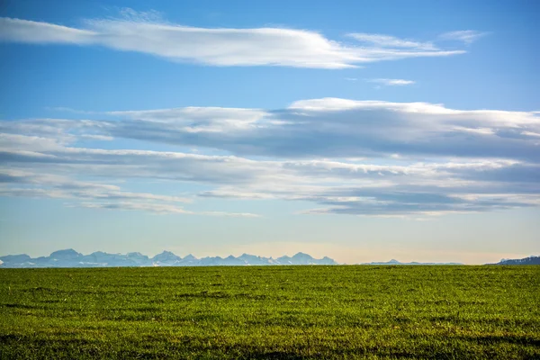 Grass field under clear blue sky with mountains on the horizon