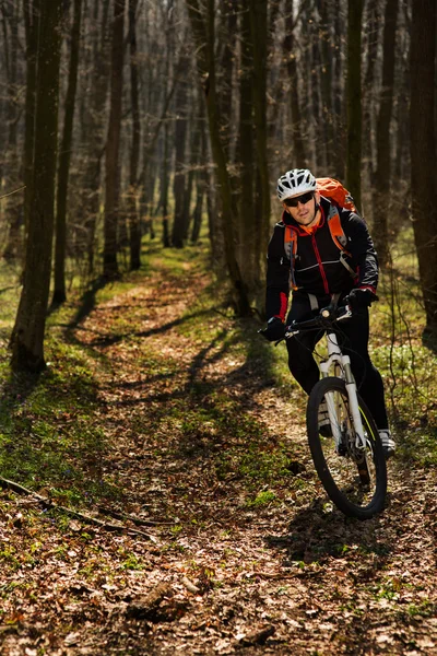 Mountain biker riding on bike in springforest landscape.