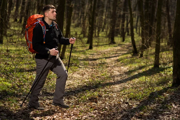 Man using hiking sticks poles outdoors in woods.