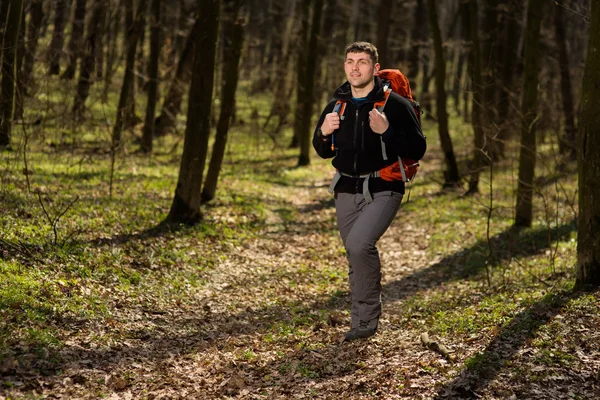 Man using hiking sticks poles outdoors in woods.
