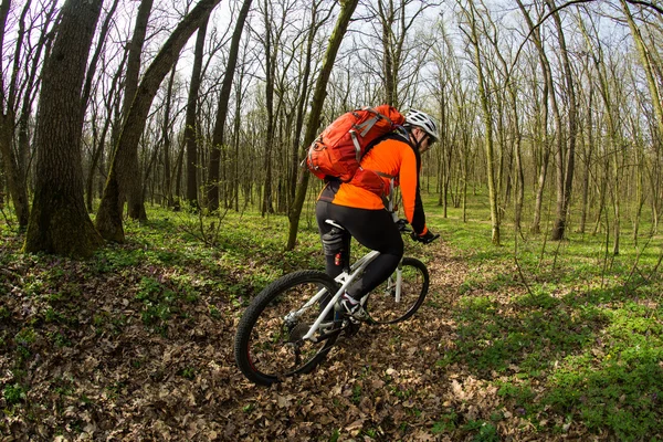Man bikes in the green forest