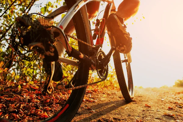 Detail of cyclist man feet riding mountain bike on outdoor