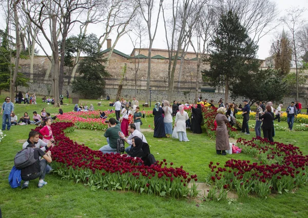 Istanbul Tulip Festival. Seasonal tulip festivals celebrated in